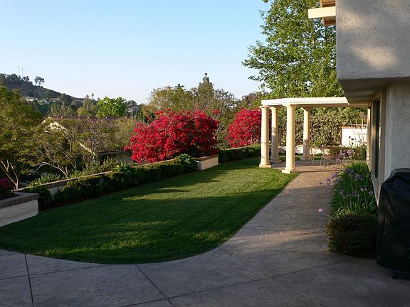 View from backyard