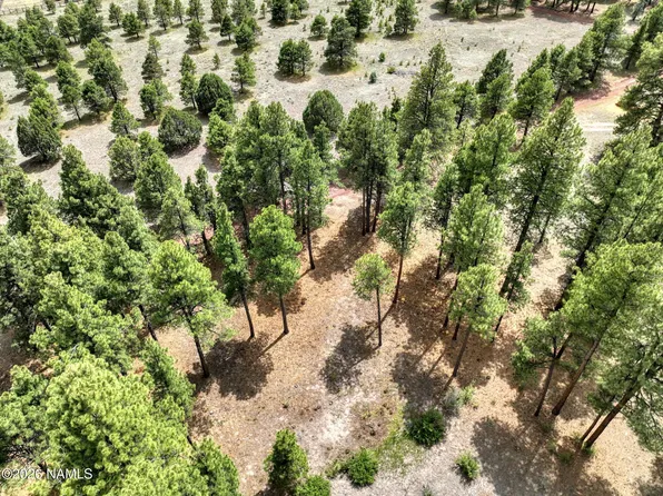 12847 E Dream Acres Ln, Williams, AZ 86046