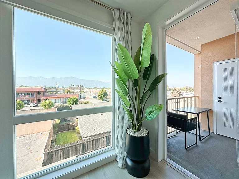 Begonia Place Luxury Apartments — Photo 63