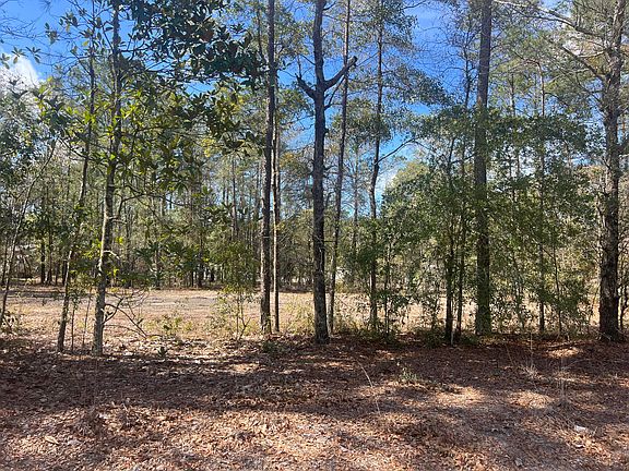 2nd image of 2009 Beach Rd