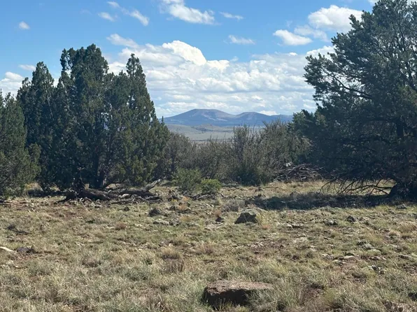 201 County Rd, Concho, AZ 85924