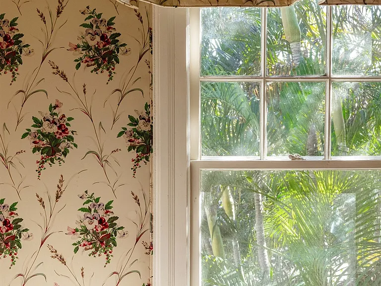 Window View