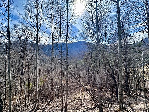 2nd image of 40 Shook Cove Rd