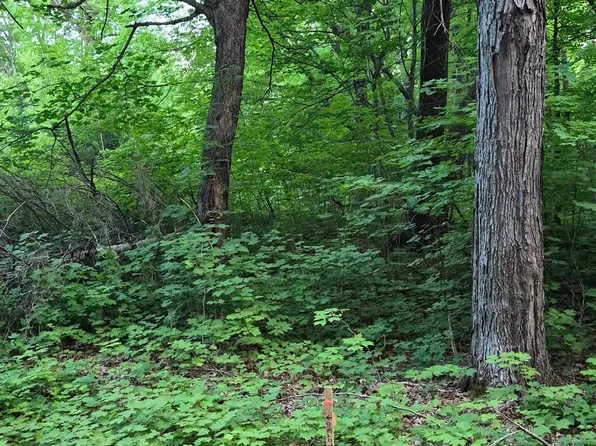 LOT 310 197th Ave, McGregor, MN 55760