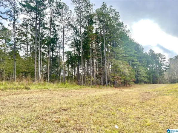 Highway 431 Acres #6.04, Wedowee, AL 36278