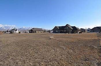 4th image of 2418 Saddlehorn Ct