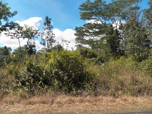 1st image of 4th Ave Lot 1316