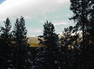 312 Inspiration Point, Fraser, CO 80442