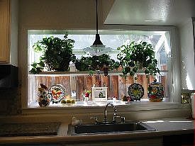 Garden Greenhouse Window