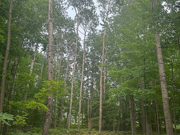 5th image of 9839 Pine Circle Dr NW