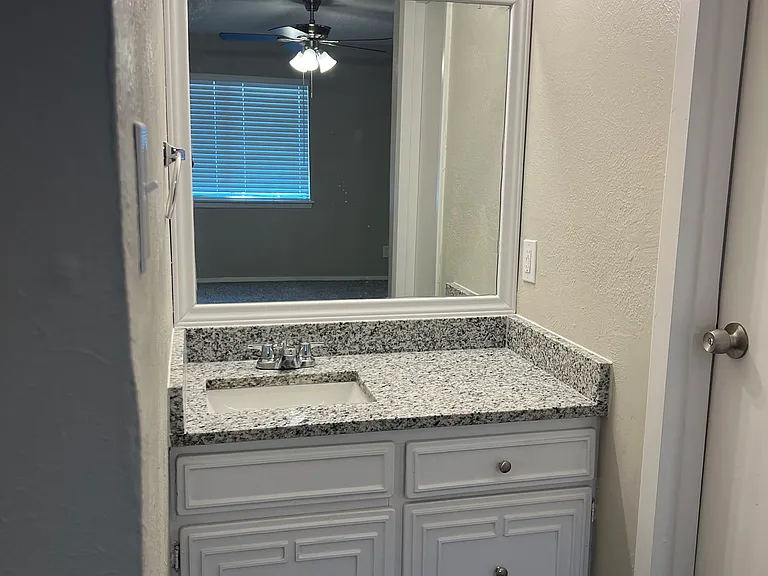 3037 Burning Tree Ln — Photo 18