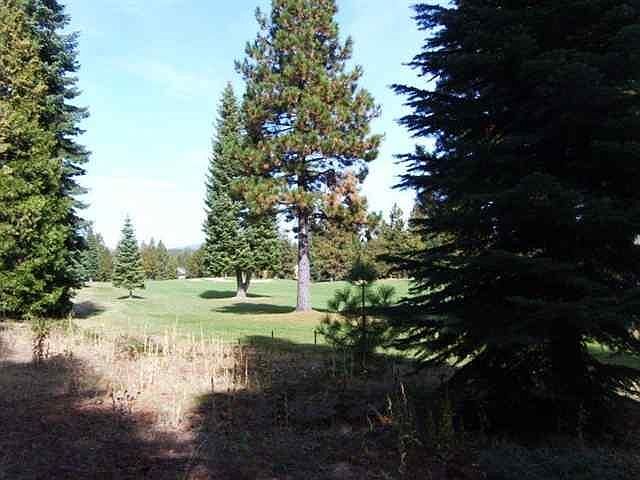 2nd image of 259 Dinsmore Dr