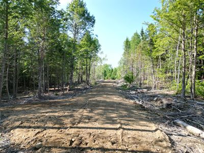 Lot 1-2 Off Clear Cut Lodge Road, Springfield, ME, 04487
