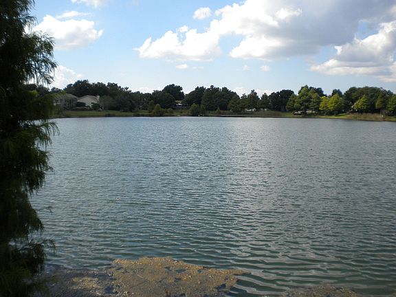 Lake view from backyard.