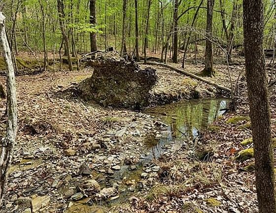 3rd image of 770 Timber Creek Trl