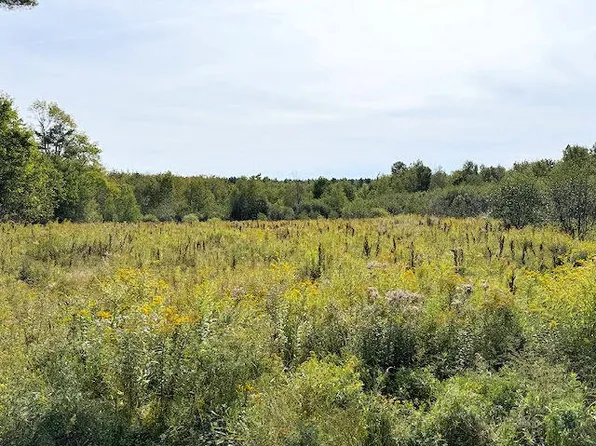 0 Trues Pond Road, Montville, ME 04941