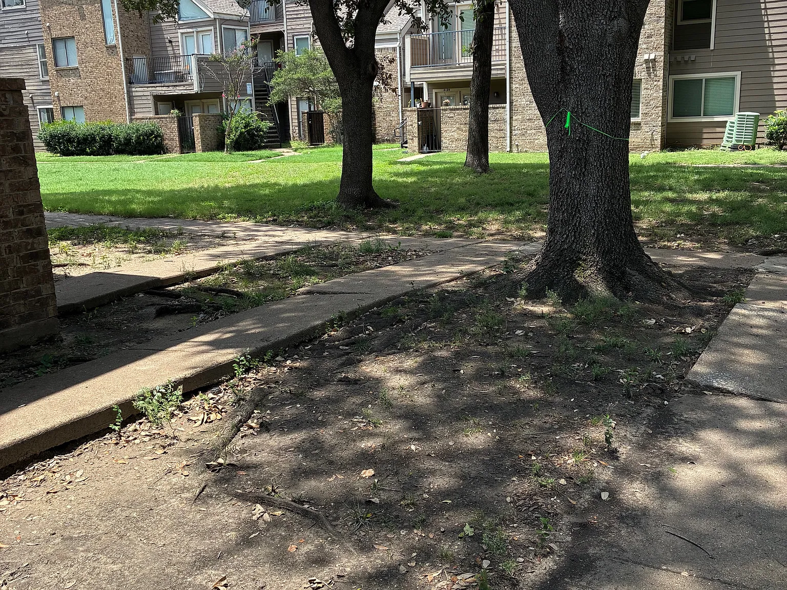 9833 Walnut St — Photo 2