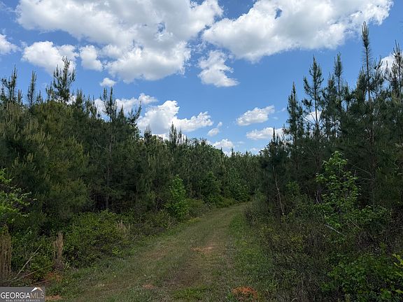 3rd image of 77 George Milling Rd