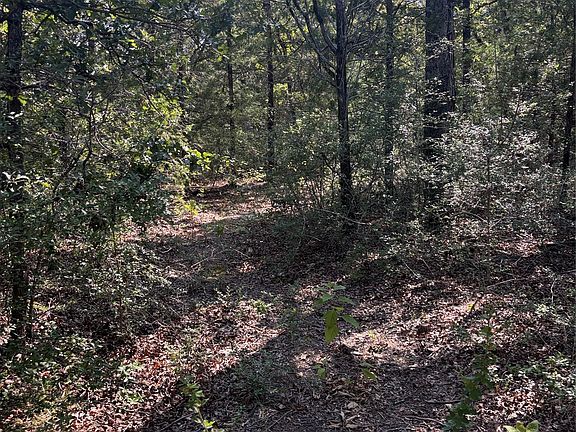 2nd image of 667 Paint Creek South Rd