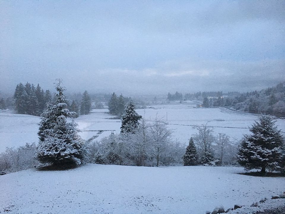 2nd image of 92689 Walluski Loop