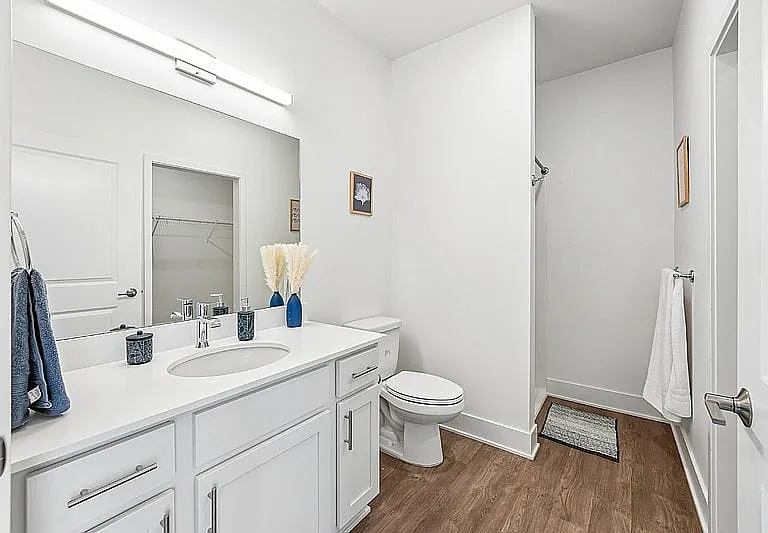 Bathroom with Closet View