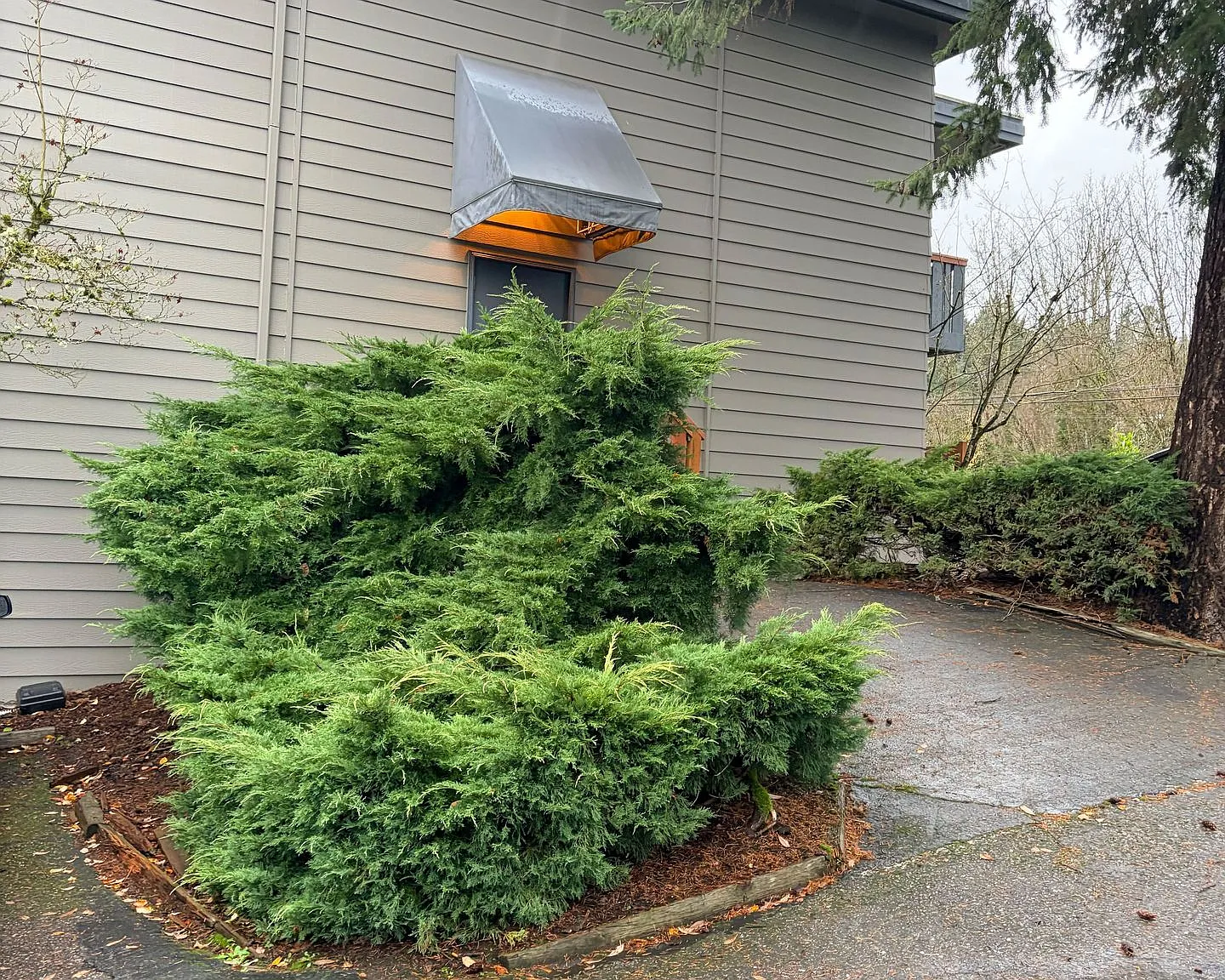 Interlakken Apartments — Photo 1