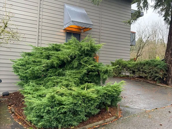 Interlakken Apartments