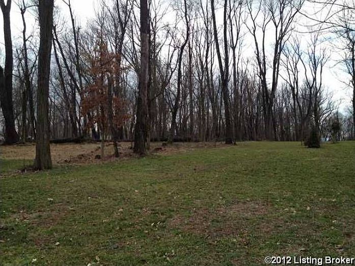 Spacious Land