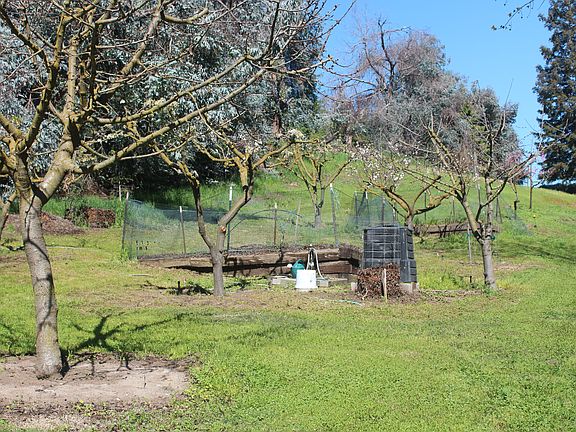 3rd image of 8306 Wilderness Oaks Dr