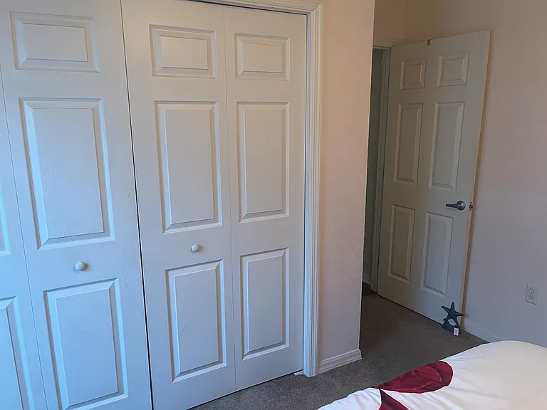 11338 Southwind Lake Dr — Photo 19