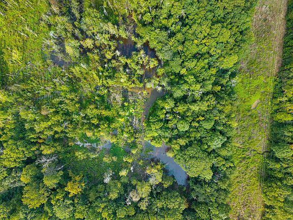 2nd image of Lynn Ray Rd