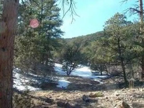 143 Ive Pl, Cotopaxi, CO 81223