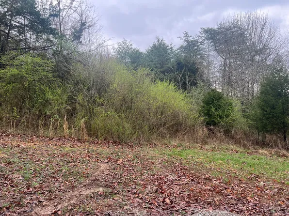 531 Black Oak Rd, Sale Creek, TN 37373