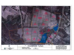 0 Springflower Rd LOT 6, Wagener, SC 29164