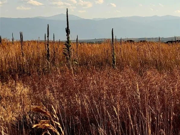 0 Laptop Loop, Roberts, MT 59070