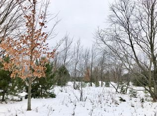 12152 Milarch Rd, Bear Lake, MI 49614