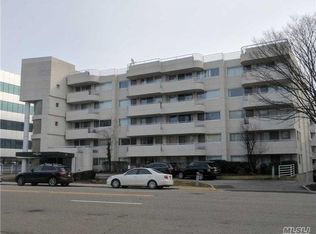 88 Cuttermill Rd APT 320, Great Neck, NY 11021