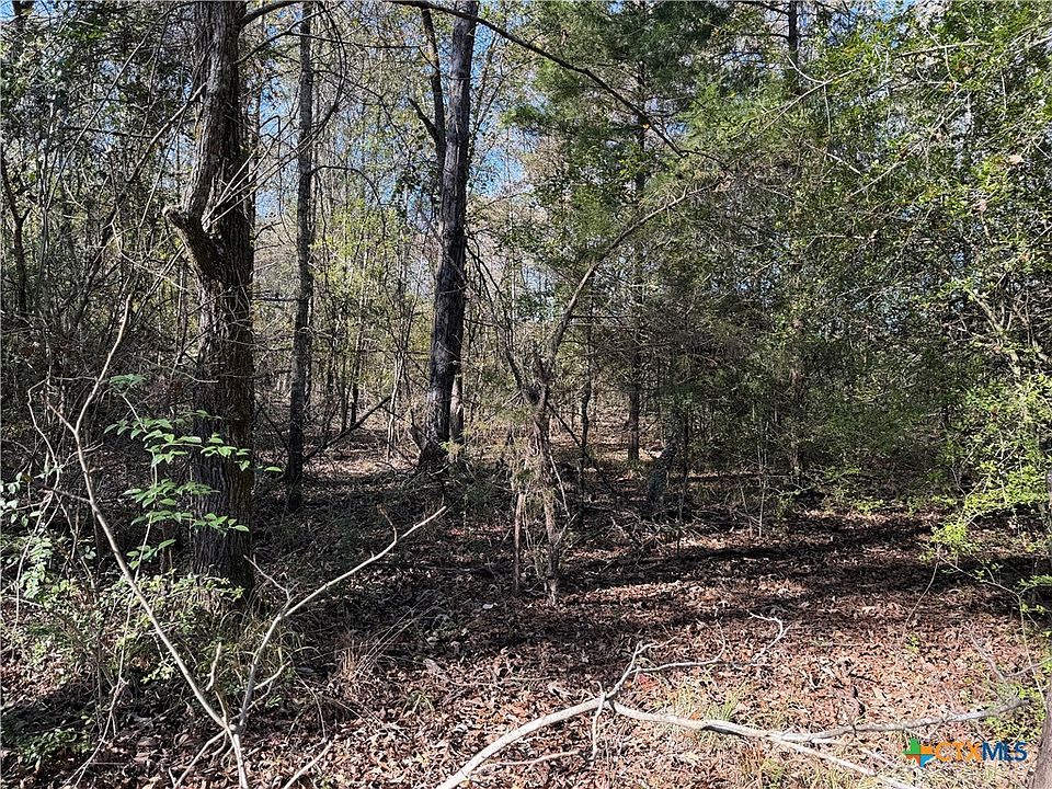1st image of County Road 301 #7