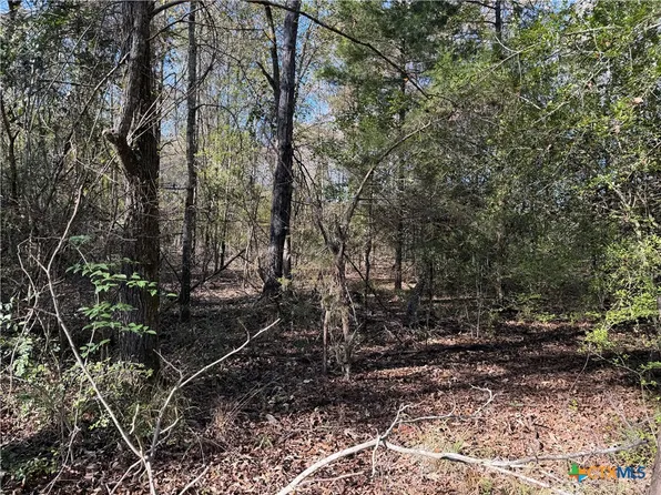 County Road 301 #7, Oakwood, TX 75855