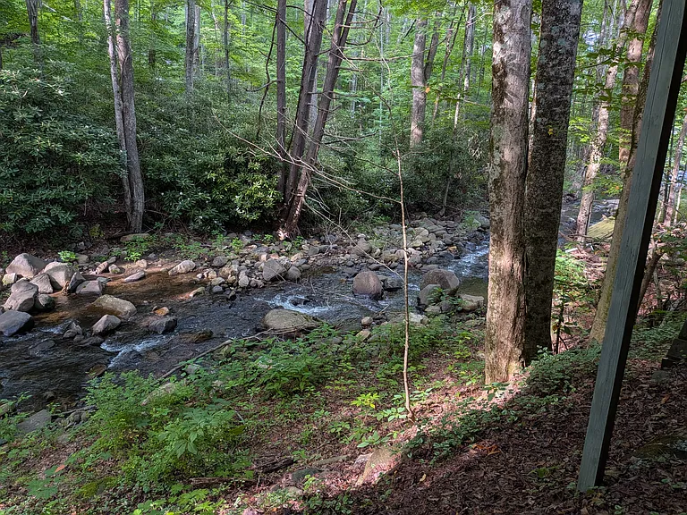 814 Heaton Creek Rd — Photo 36