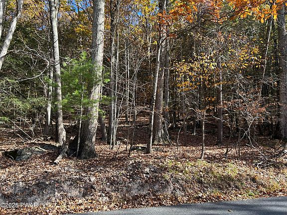 5th image of 23 Salem Park Ln
