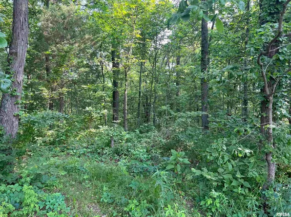 1700 North Rd, Cisne, IL 62823