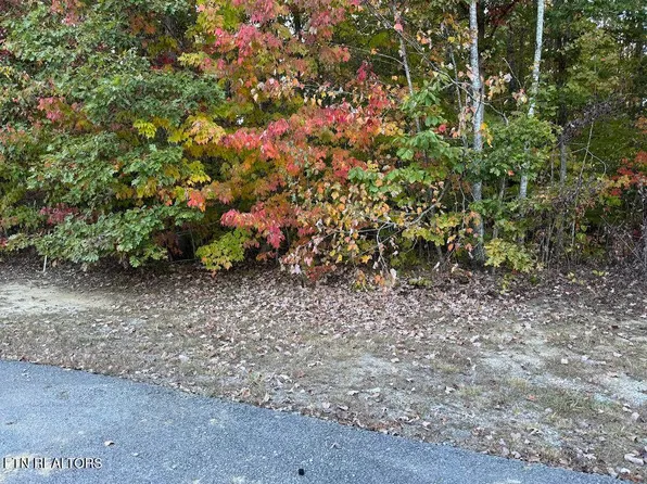 0 Laurens Ln, Grimsley, TN 38565