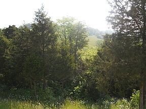 4th image of 28531 Woodridge Ln
