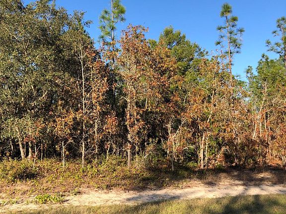4th image of 5145 W Yuma Ln