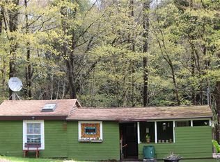 181 Cronin Rd, Schenevus, NY 12155