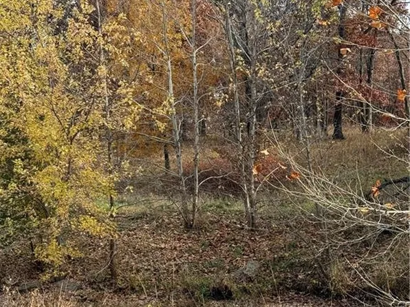 LOT 1221 Lake Viking Ter, Gallatin, MO 64640