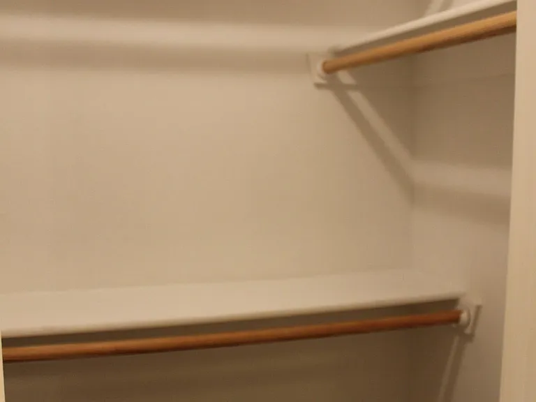 Primary closet, new carpet