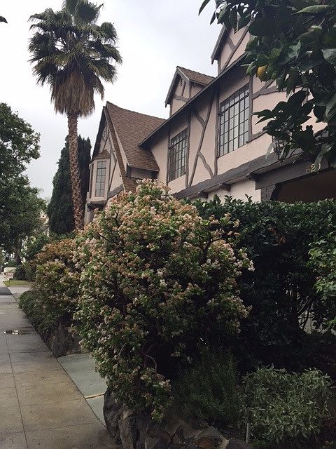 2nd image of 620 N Sweetzer Ave APT 1