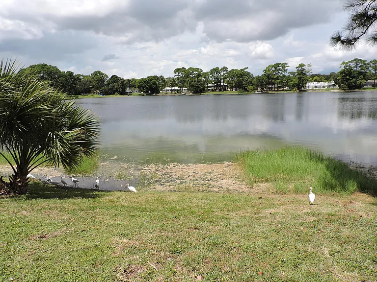 4529 Square Lake Dr — Photo 42